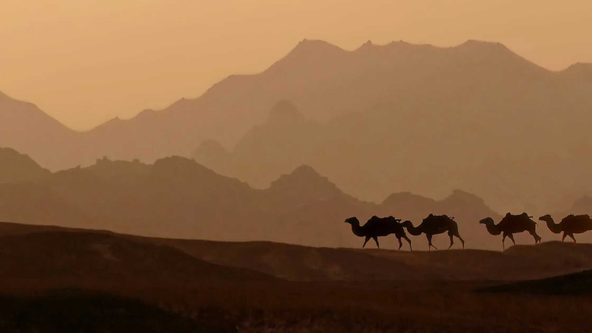 What Makes a Travel Agency Truly Reliable? soulpathholidays