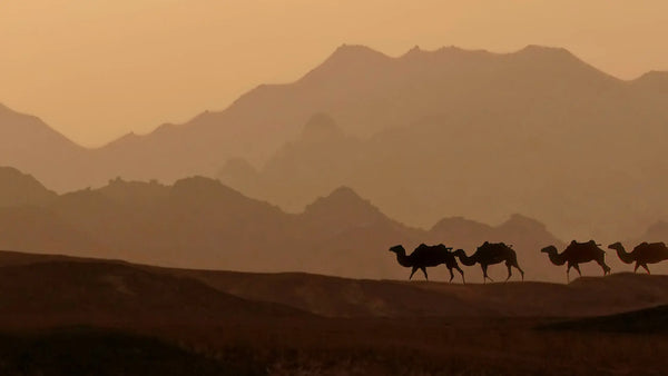 What Makes a Travel Agency Truly Reliable? soulpathholidays