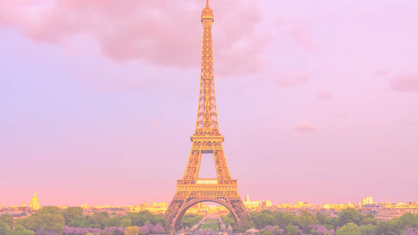 Why Group and Corporate Travel Needs Expert Planning soulpathholidays